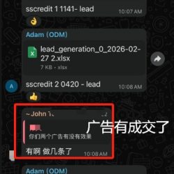 B.客户好评 3.3